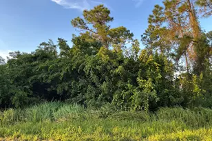 1325 Defender St NW, Palm Bay, FL 32907 - Photo 1