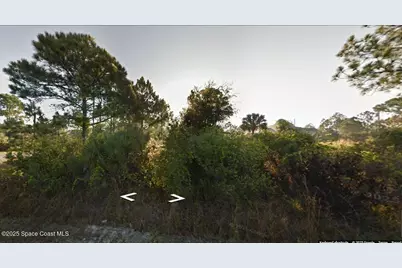 2801 Lakeland Avenue SW, Palm Bay, FL 32908 - Photo 1