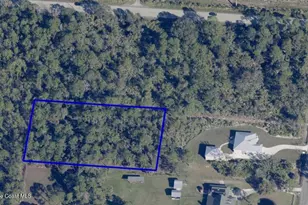0 Unknown, Malabar, FL 32950 - Photo 1