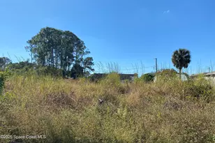 2612 Palmer Ave SE, Palm Bay, FL 32909 - Photo 1