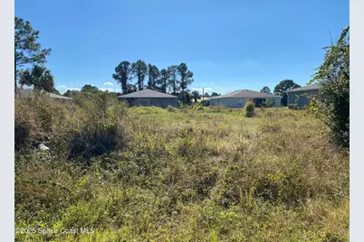 334 Silver Frost Street SE, Palm Bay, FL 32909 - Photo 1