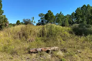 2739 Haberland Ave SE, Palm Bay, FL 32909 - Photo 1