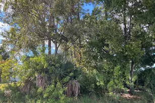 3266 Slama Ave SE, Palm Bay, FL 32909 - Photo 1