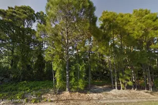 1559 Sarnia St NW, Palm Bay, FL 32907 - Photo 1