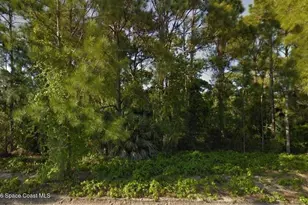 1541 Sarnia St NW, Palm Bay, FL 32907 - Photo 1