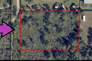 8665 Canvas Ave, Grant-Valkaria, FL 32909 - Photo 1
