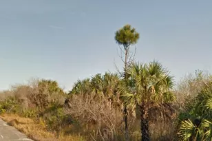 2994 Woodstock Dr SW, Palm Bay, FL 32908 - Photo 1