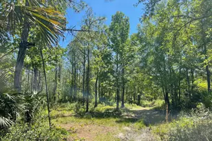 0 Harrison Rd, Mims, FL 32754 - Photo 1