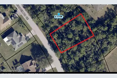 1019 Webster Road SE, Palm Bay, FL 32909 - Photo 1