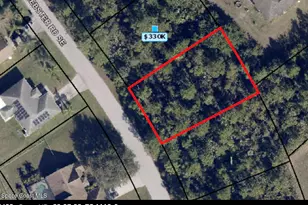1019 Webster Rd SE, Palm Bay, FL 32909 - Photo 1