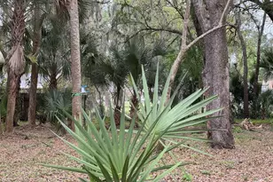 1160 Grapefruit Rd SE, Palm Bay, FL 32909 - Photo 1
