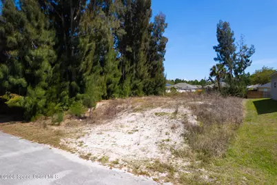 769 Giblin Avenue SW, Palm Bay, FL 32908 - Photo 1