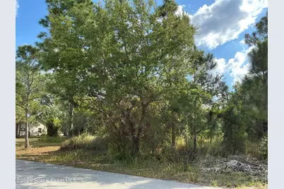 1751 Hamilton Avenue SW, Palm Bay, FL 32908 - Photo 1