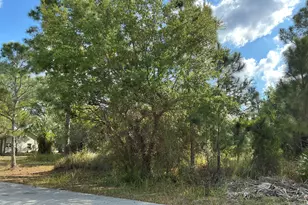 1751 Hamilton Ave SW, Palm Bay, FL 32908 - Photo 1