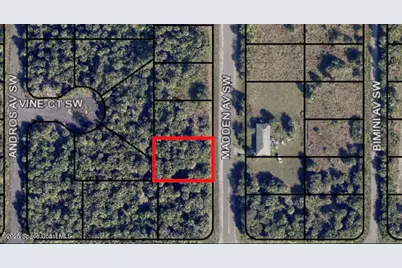 2482 Madden Avenue, Palm Bay, FL 32908 - Photo 1