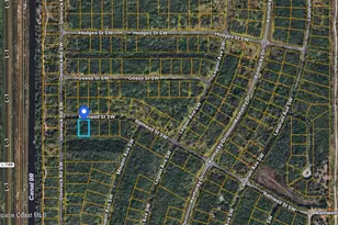 1590 Rathwell St SW, Palm Bay, FL 32908 - Photo 1