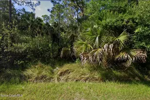 571 Ocean Spray St, Palm Bay, FL 32908 - Photo 1