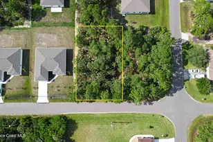 509 Fellenz Street SW, Palm Bay, FL 32908 - Photo 1