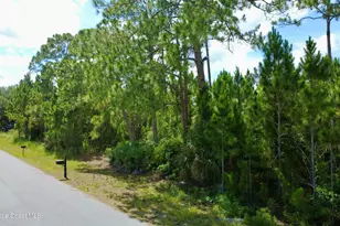 455 Dadeville St SE, Palm Bay, FL 32909 - Photo 1