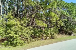 473 Galhouse Street SW, Palm Bay, FL 32908 - Photo 1
