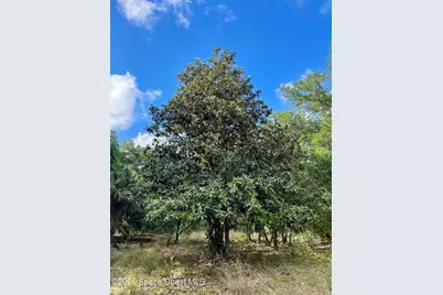 00 Willowbrook Drive, Palm Bay, FL 32909 - Photo 1