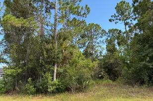798 Altamira St NW, Palm Bay, FL 32907 - Photo 1