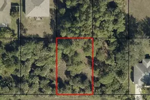 459 Fleetwood Street SW, Palm Bay, FL 32908 - Photo 1