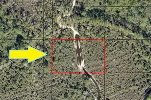 0000 N Access - S Of Ramblebrook St, Grant-Valkaria, FL 32949 - Photo 1