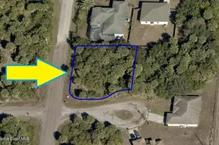 657 Banyan St SW, Palm Bay, FL 32908 - Photo 1
