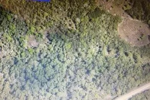 * Not Assigned, Cocoa, FL 32926 - Photo 1