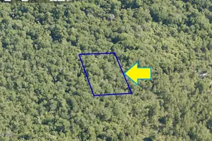 0000 N Access-Lot 3 03 St, Mims, FL 32754 - Photo 1