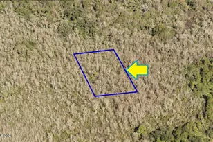 0000 N Access - Lot 4 03, Mims, FL 32754 - Photo 1