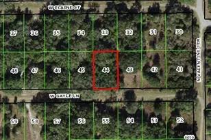 8157 W Gayle Ln, Crystal River, FL - Photo 1