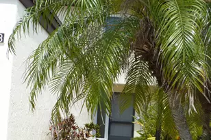 8718 Bay Ct, Cape Canaveral, FL 32920 - Photo 1