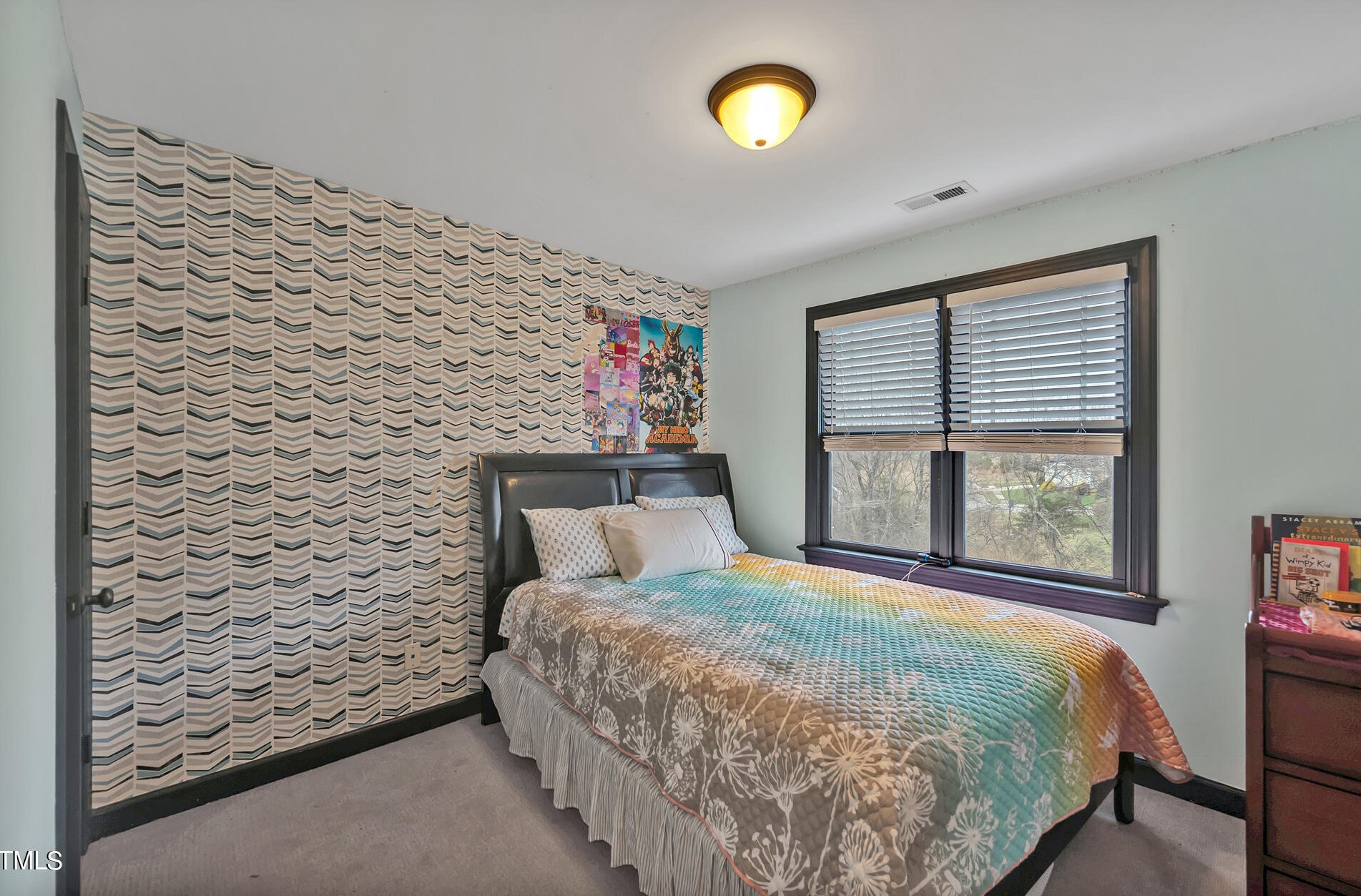 1134 Jersey St, Haw River NC  27258-9459 exterior