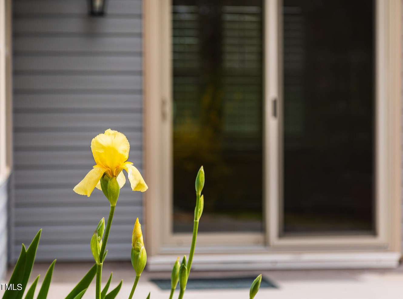 8 Crawford Ct, Durham NC 27703-9475 exterior