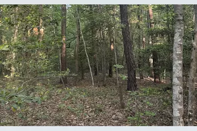 0 L Cooper Road, Cameron, NC 28326 - Photo 11