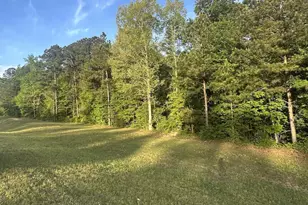 0 L Cooper Rd, Cameron, NC 28326 - Photo 1