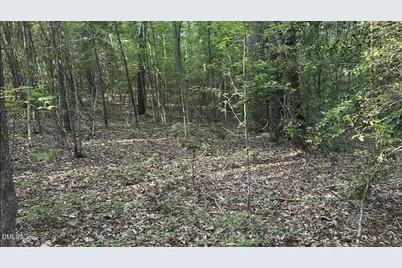 0 L Cooper Road, Cameron, NC 28326 - Photo 13