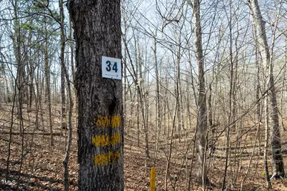 34 Summer Oak Drive, Roxboro, NC 27573 - Photo 7