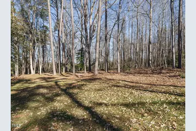 30 Tamaran Court, Spring Hope, NC 27882 - Photo 53