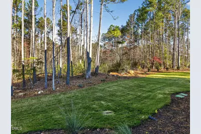 162 Gaines Trail, Pittsboro, NC 27312 - Photo 43