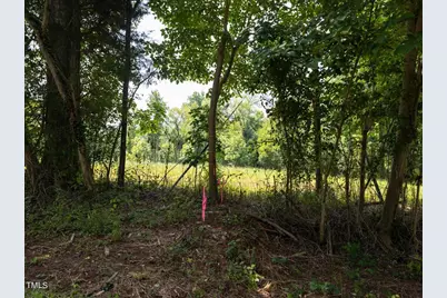 345 Buck Gunter Road, Siler City, NC 27344 - Photo 9