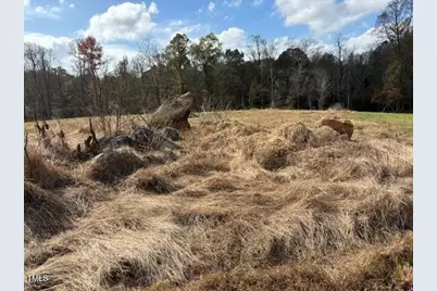 345 Buck Gunter Road, Siler City, NC 27344 - Photo 13