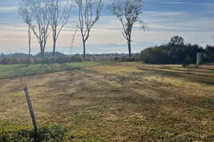 901 Oliver St, Mount Olive, NC 28365 - Photo 25