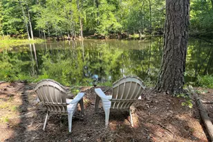 30 Peach Blossom Ct, Louisburg, NC 27549 - Photo 1