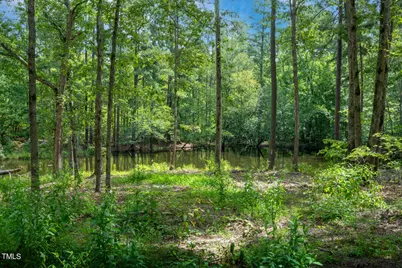 30 Peach Blossom Court, Louisburg, NC 27549 - Photo 5