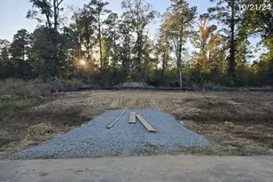 68 Capeside Ct, Lillington, NC 27546 - Photo 3