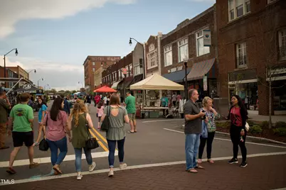 214 Drayton Hall Lane, Sanford, NC 27330 - Photo 45