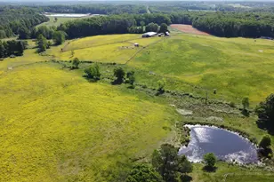 455 Hogan Farm Rd, Seagrove, NC 27341 - Photo 23